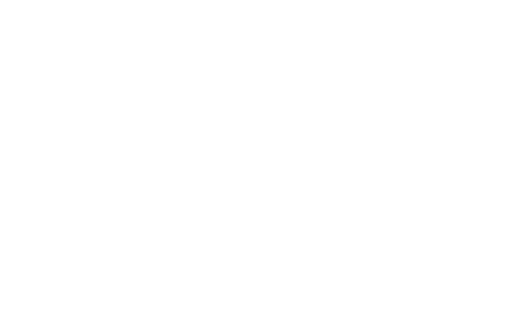 Official Selection — Barcelona Indie Filmmakers Festival 2025